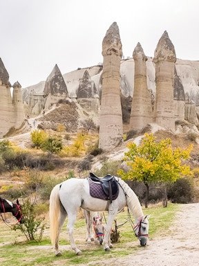 horseback riding in the valleys of cappadocia-6